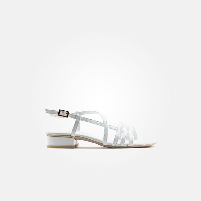Paul Green 7621-093