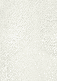 Riani TRANSPARENTE BLUSE MIT STEHKRAGEN Zeitlich begrenztes Angebot