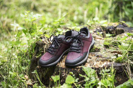 Schuhwerk Schwangau Hartjes Walker Exklusivangebot